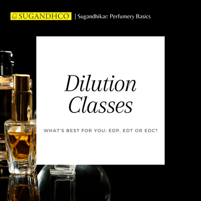 What are the Dilution Classes?