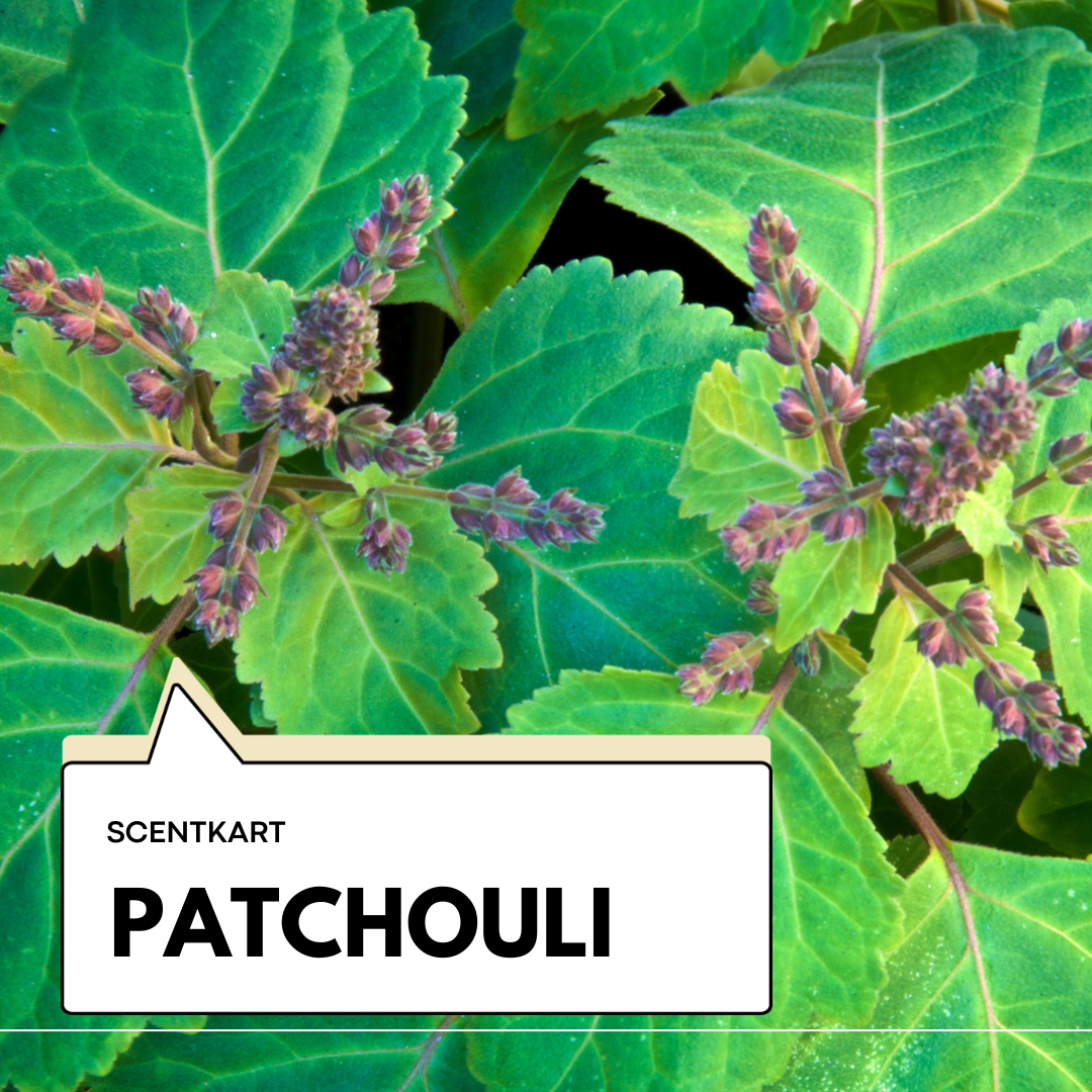 Patchouli Oil 10ml