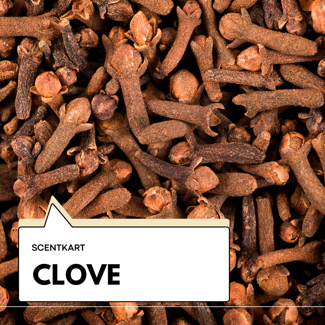 Clove Oil 10ml