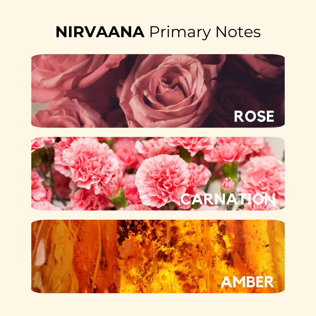 Nirvaana | Velvety, Rose, Amber | Attar 10ml