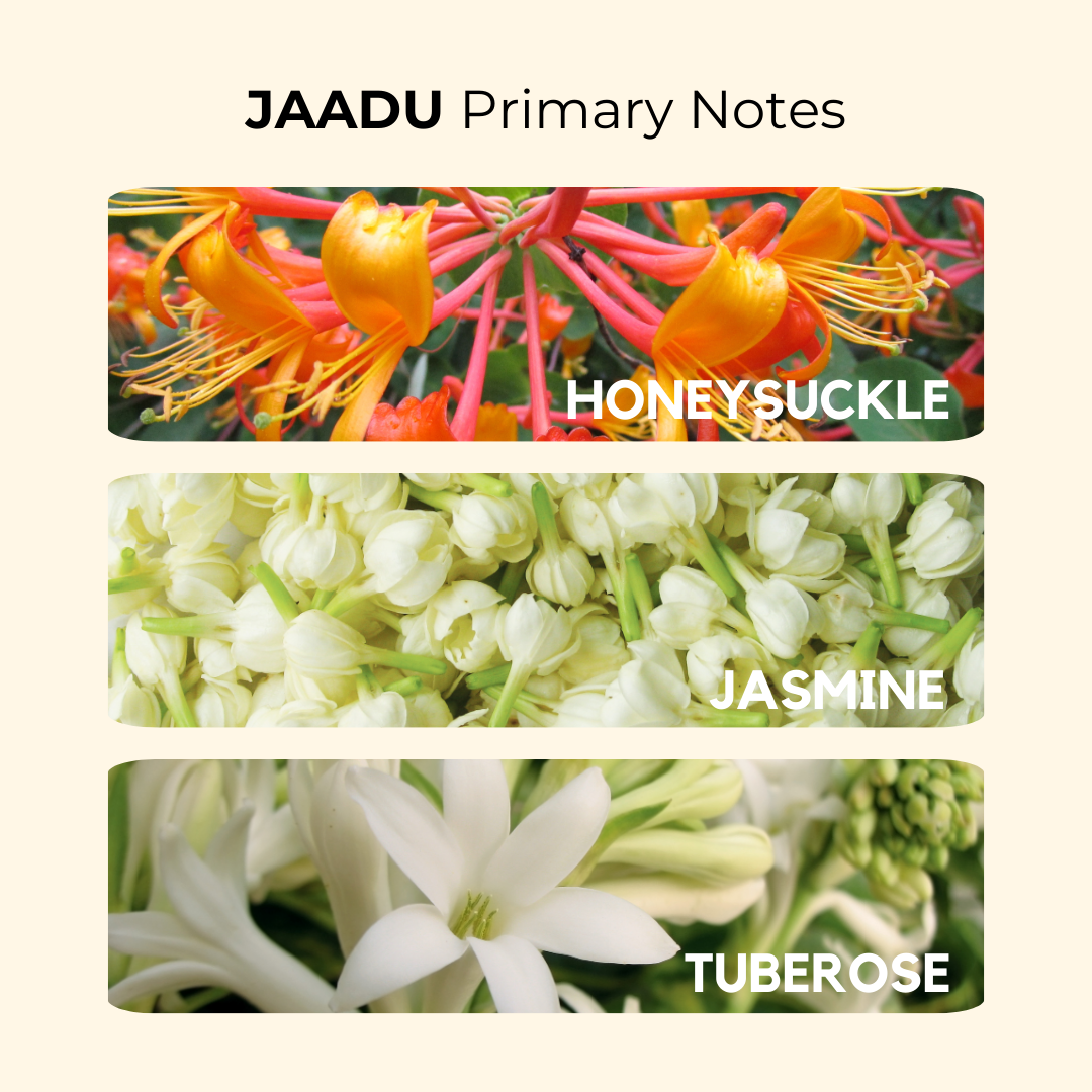 Jaadu | Jasmine, Pineapple, Nargis | EDP 50ml