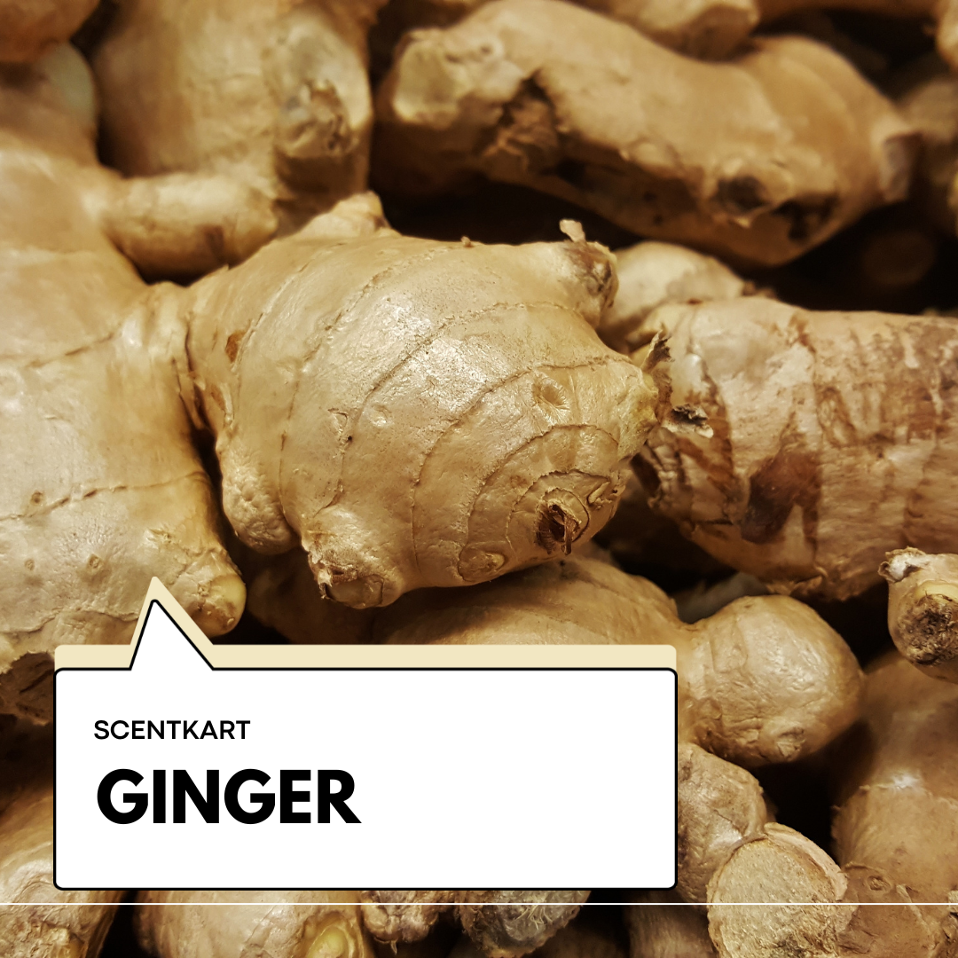 Ginger Oil 10ml