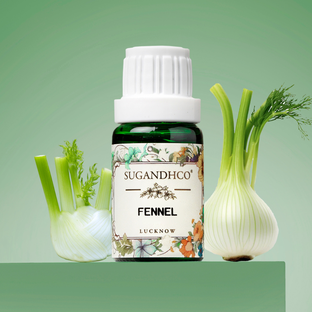 Fennel Oil 10ml