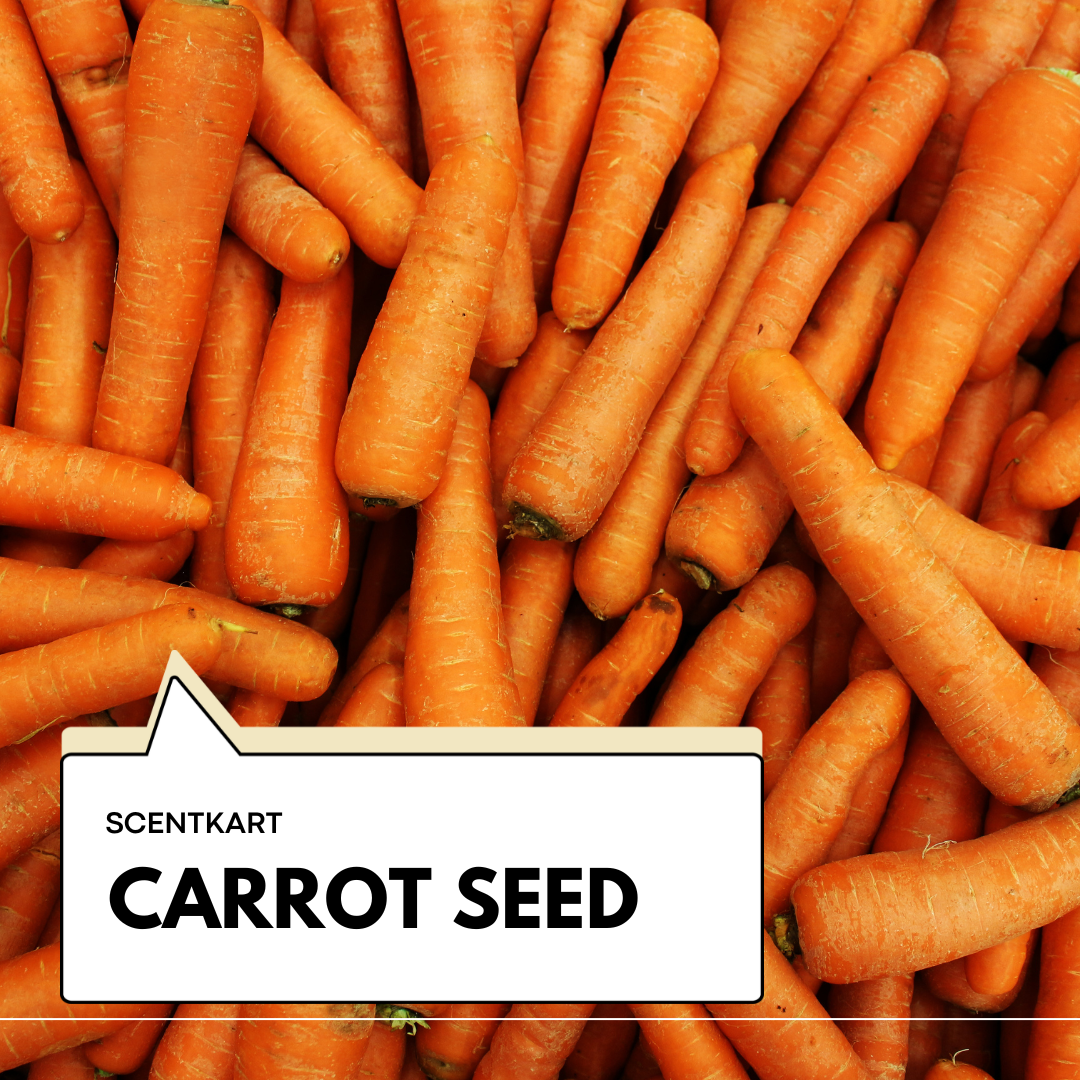 Carrot Seed Oil 10ml