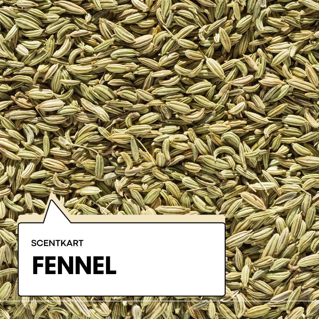 Fennel Oil 10ml