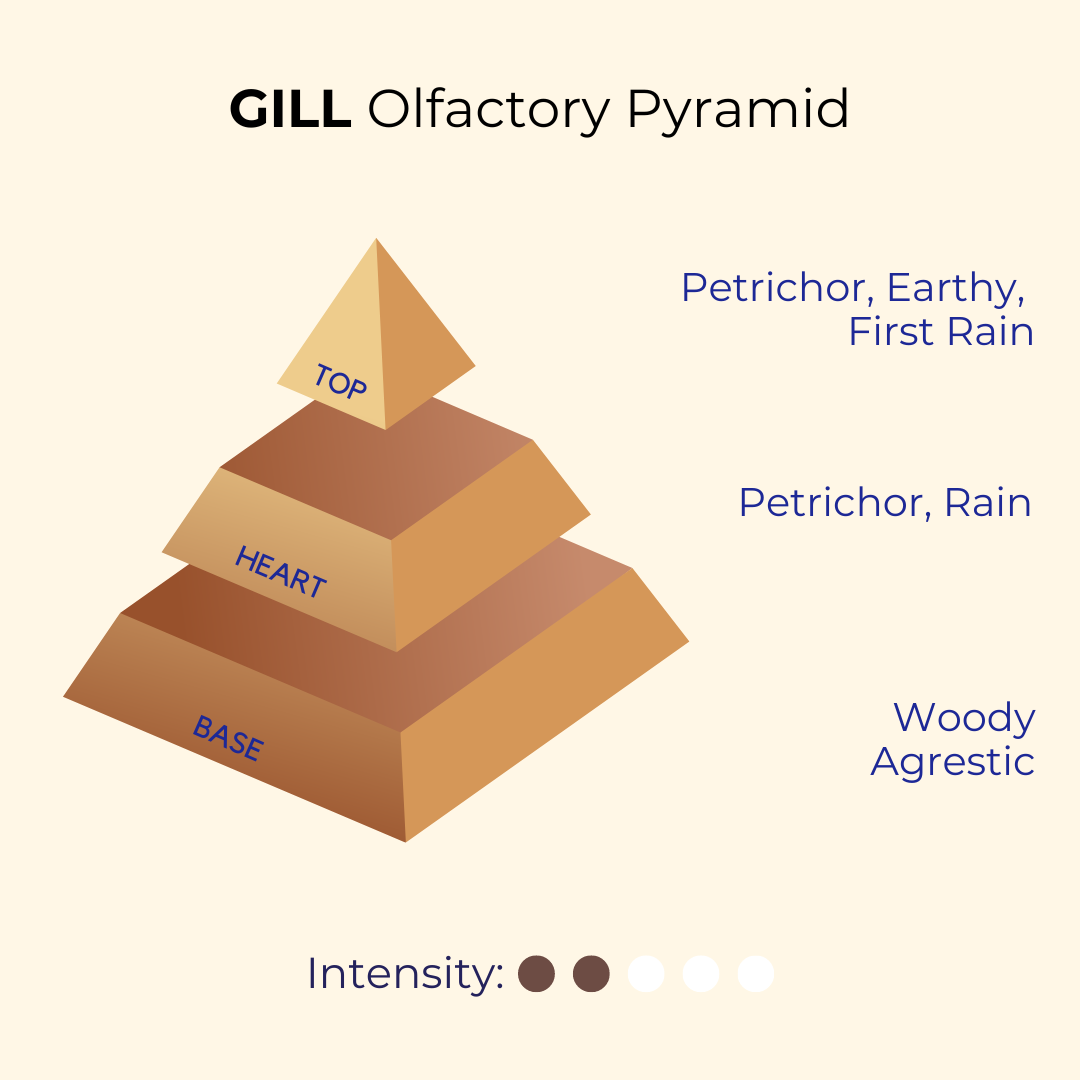 Gil (Mitti) | First Rain, Petrichor, Earthy | Attar 10ml