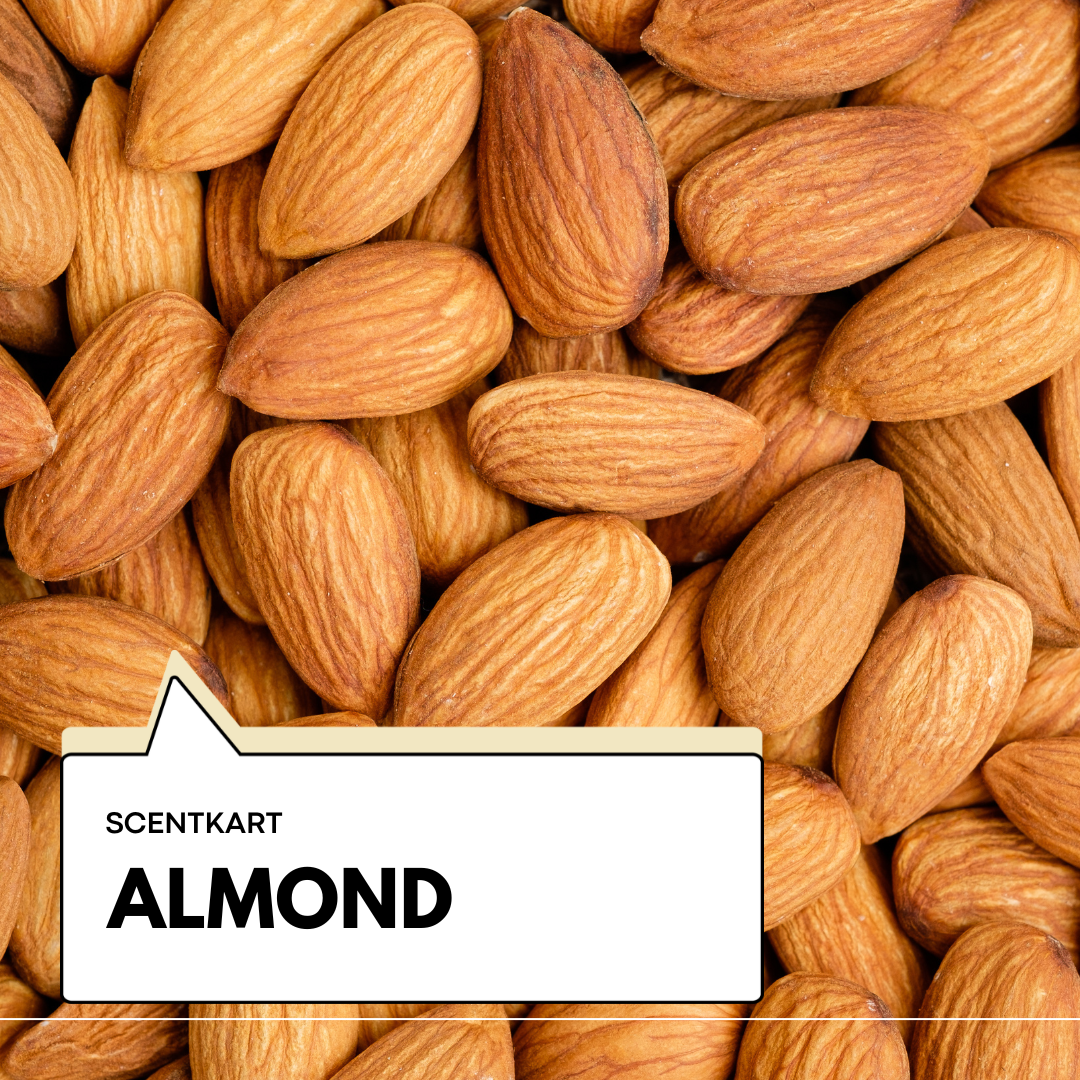 Almond Oil 100ml