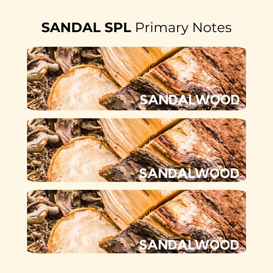 Sandal Spl | Soft, Sweet, Sandalwood | EDP 50ml