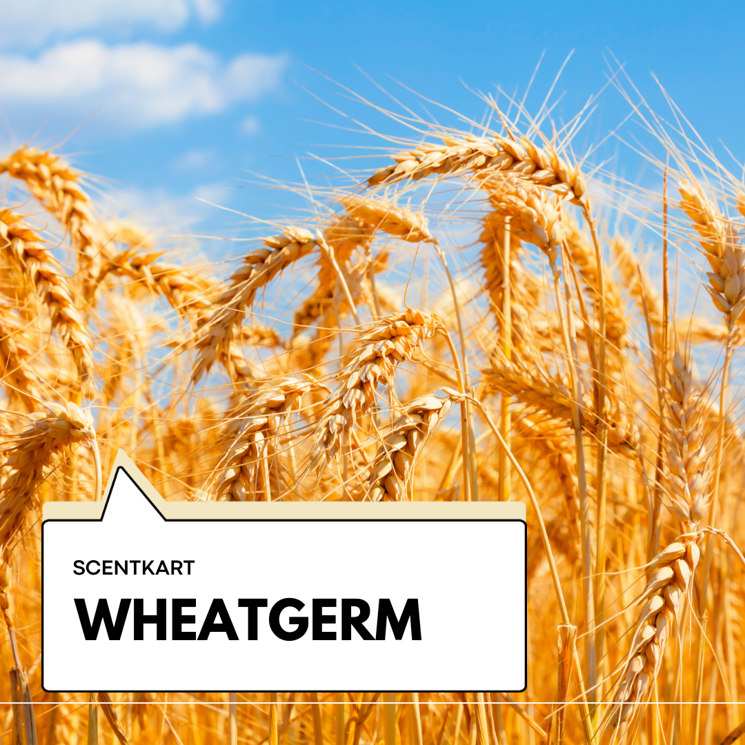 Wheatgerm Oil 100ml
