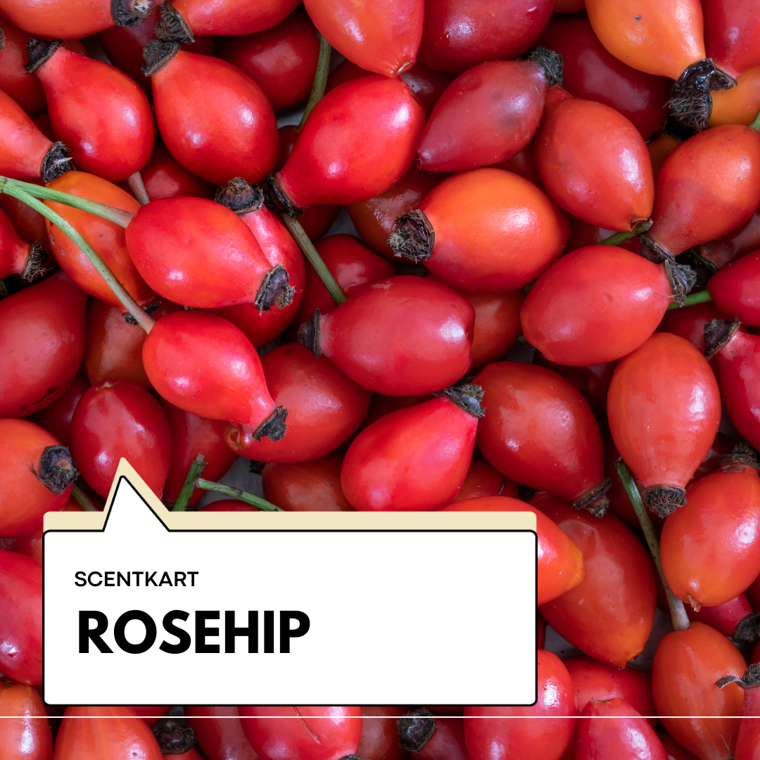 Rosehip Oil 100ml