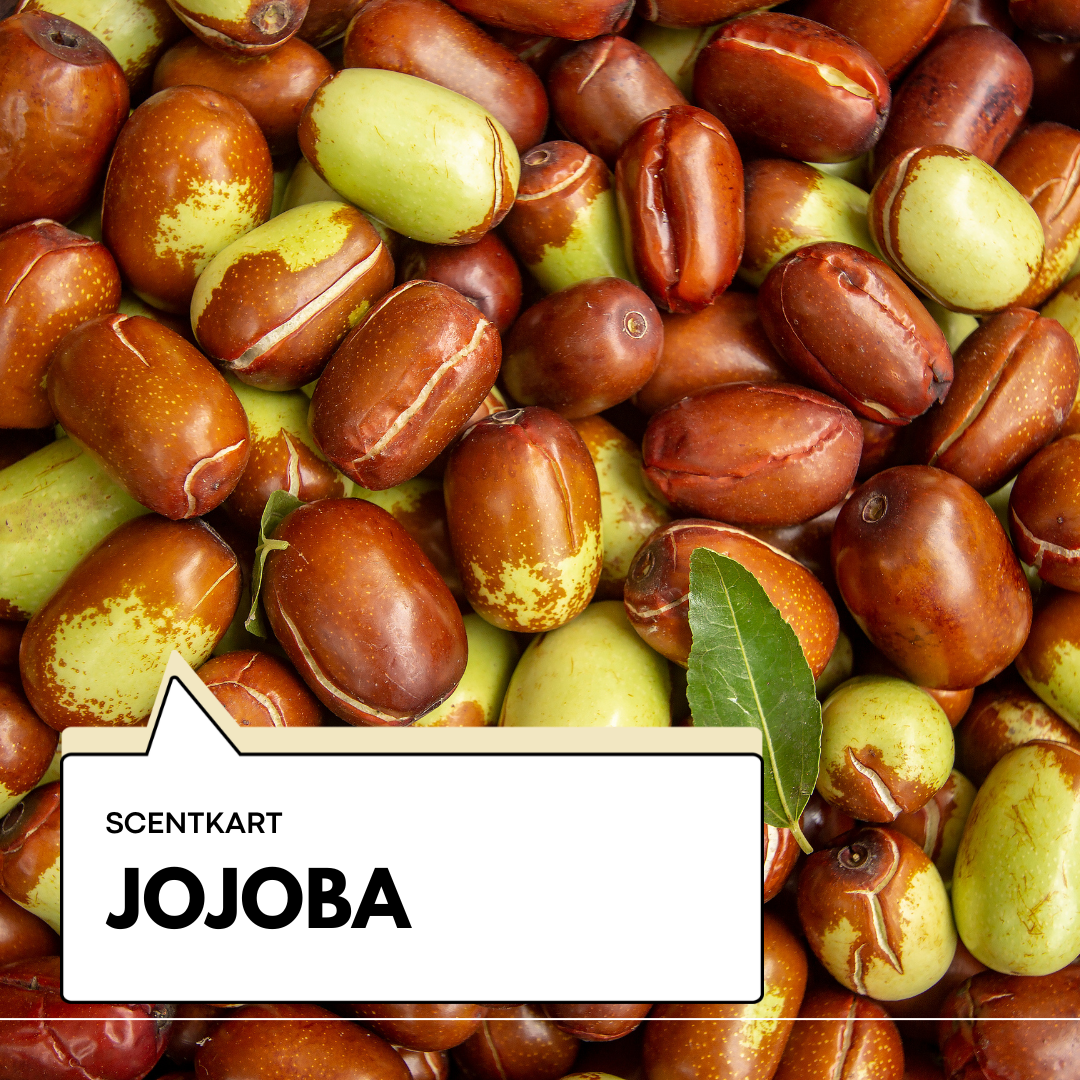 Jojoba Oil 100ml