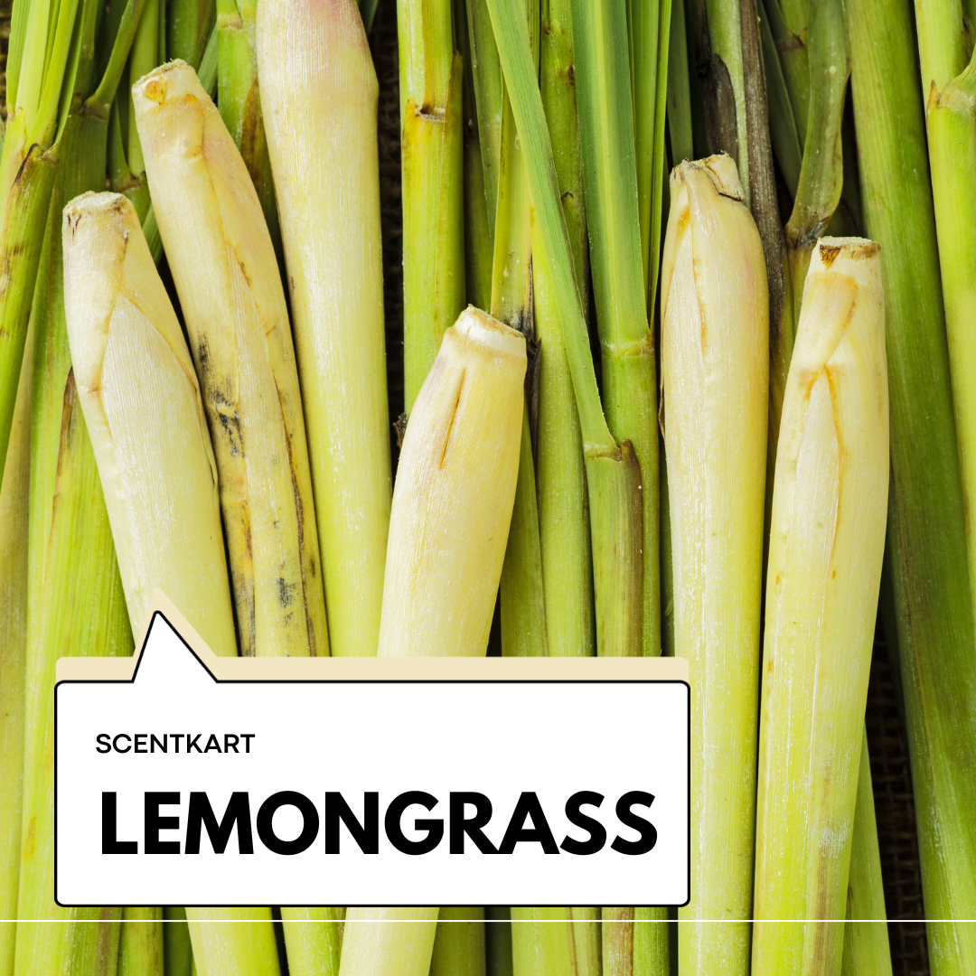 Lemongrass Oil 10ml