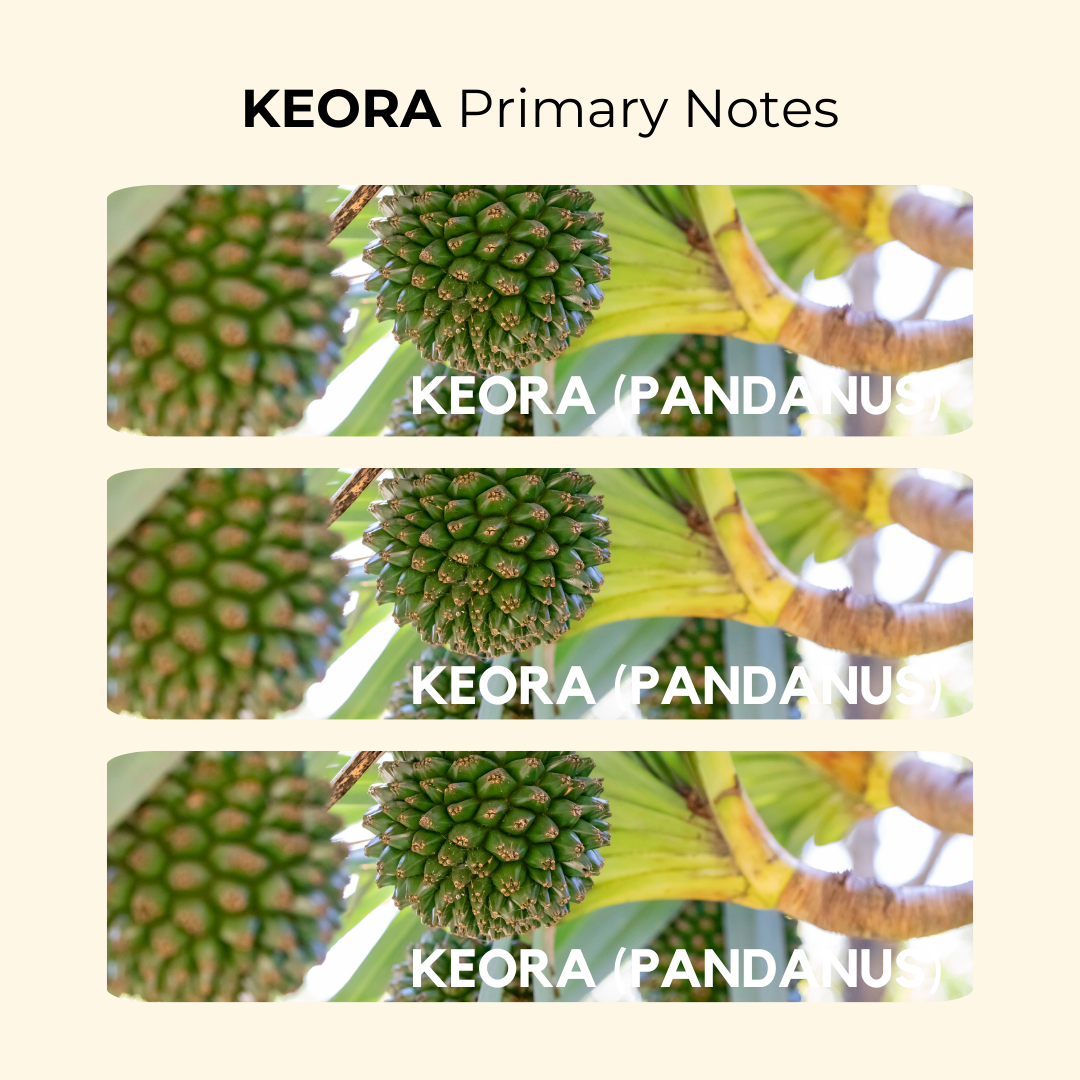 Keora Attar 10ml