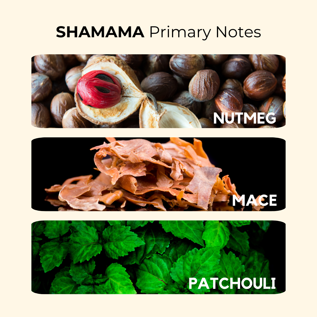 Shamama | Spices, Amber, Patchouli | Attar 10ml
