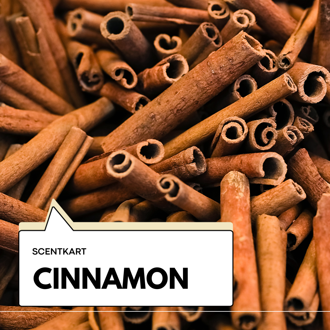 Cinnamon Oil 10ml