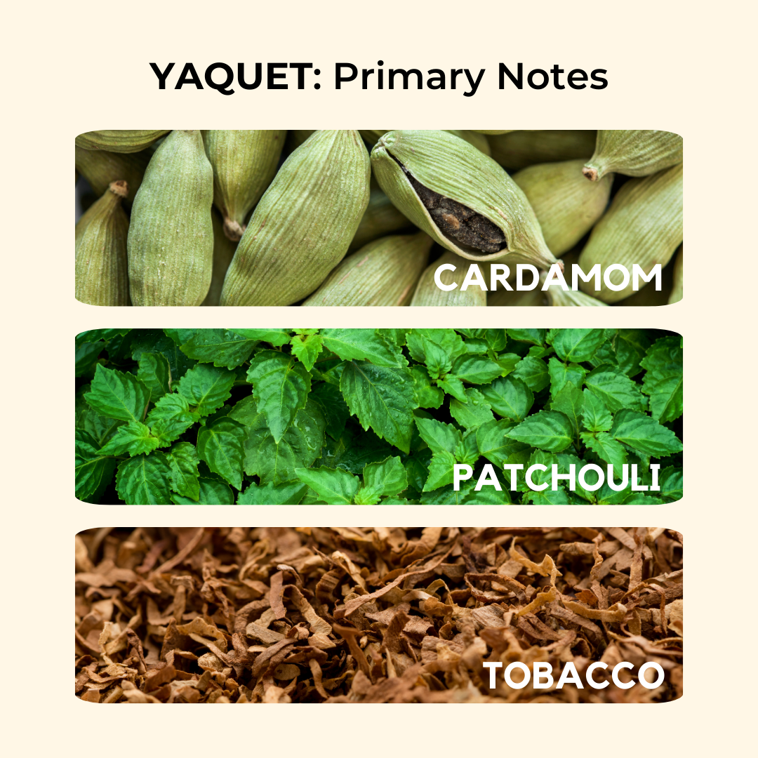 Yaquet | Musk, Patchouli, Tobacco | EDP 50ml