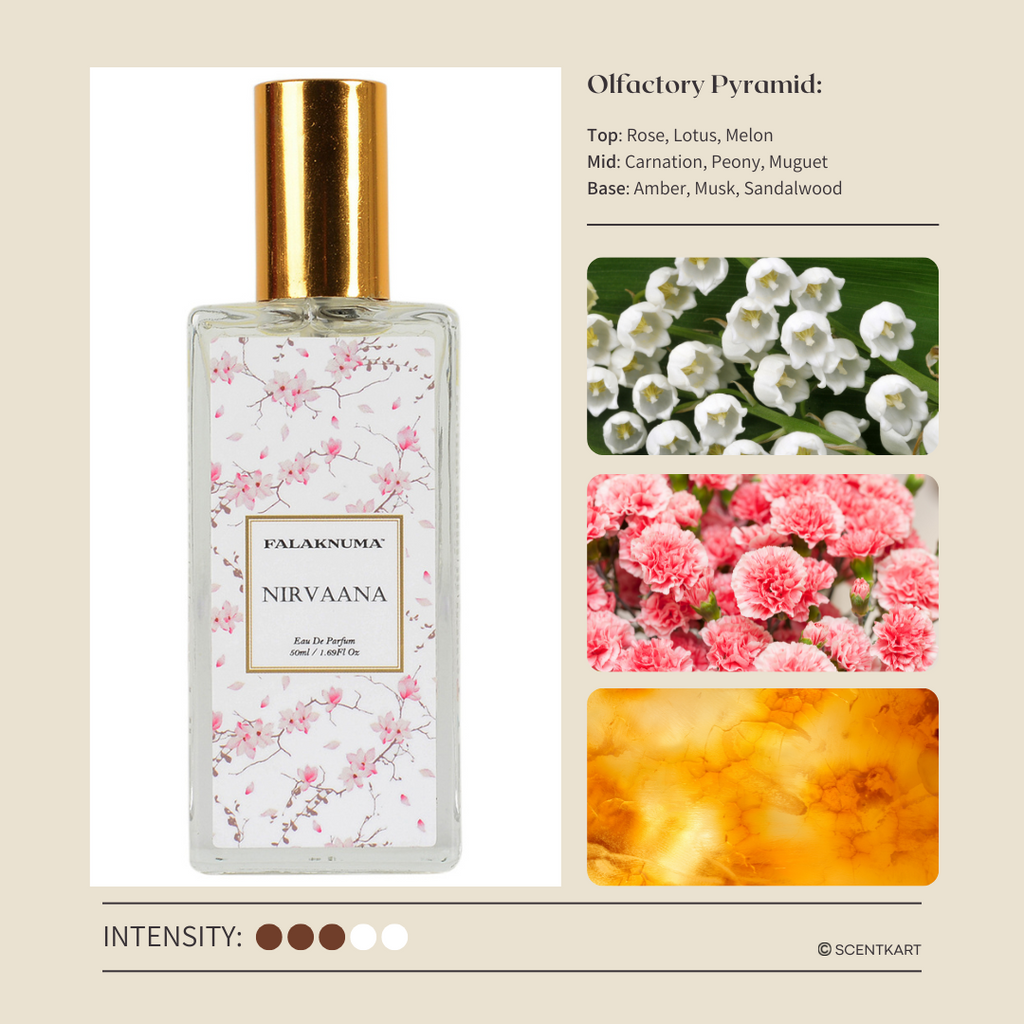 Best carnation perfume 2025