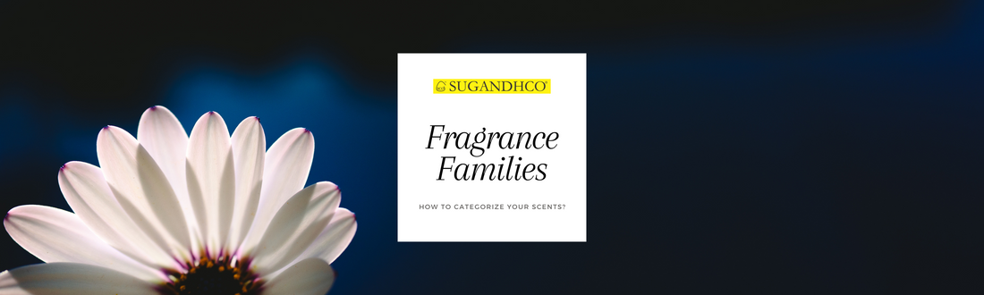 What are Fragrances Families?