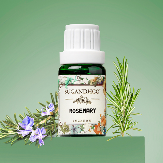 Rosemary Oil 10ml