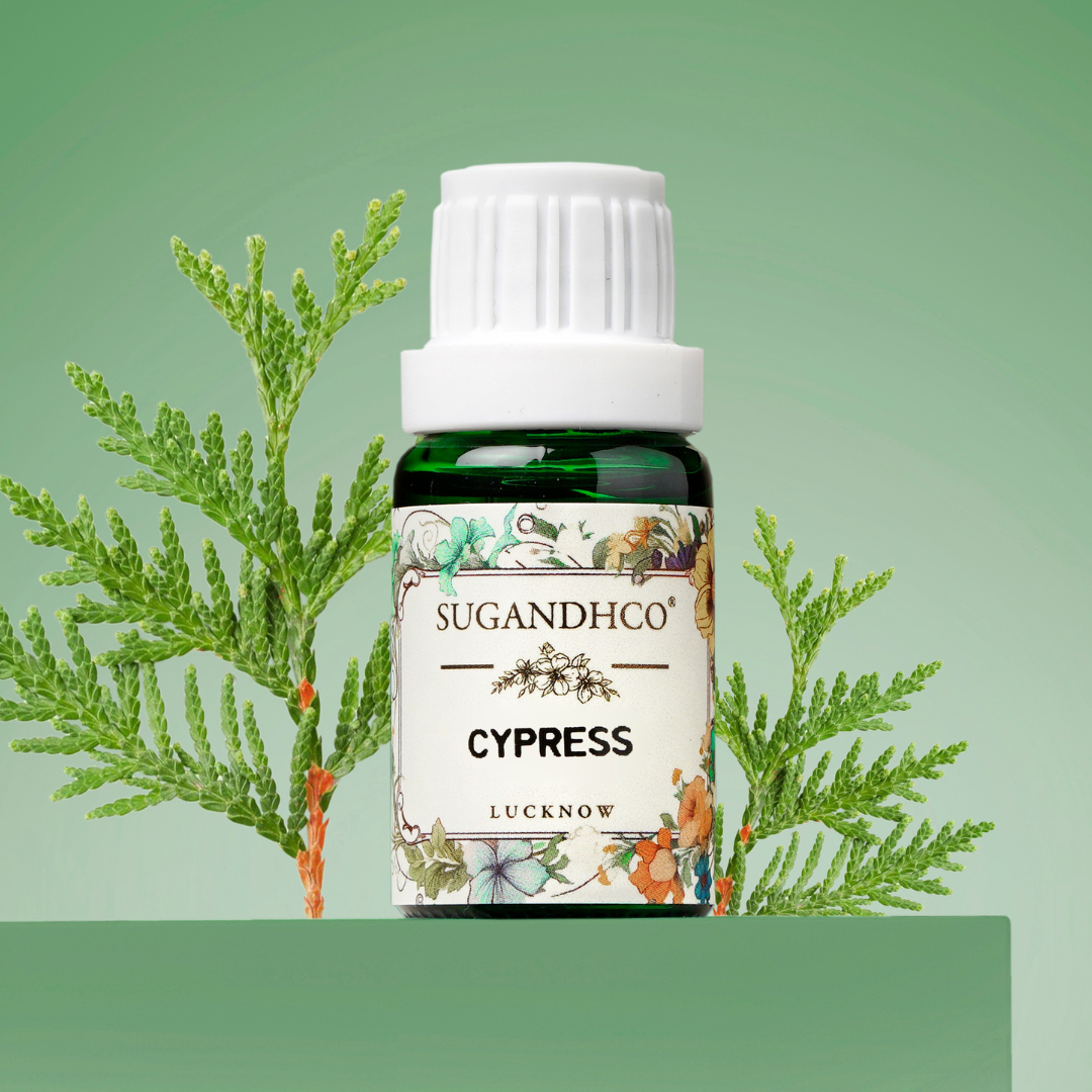 Cypress Oil 10ml