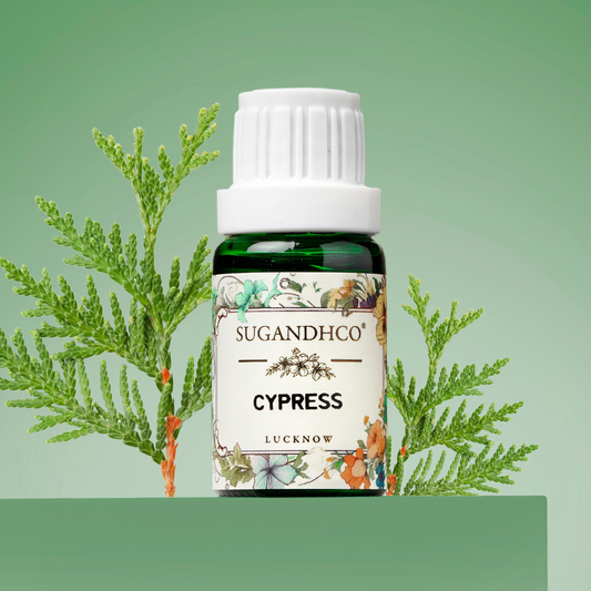 Cypress Oil 10ml
