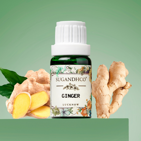 Ginger Oil 10ml
