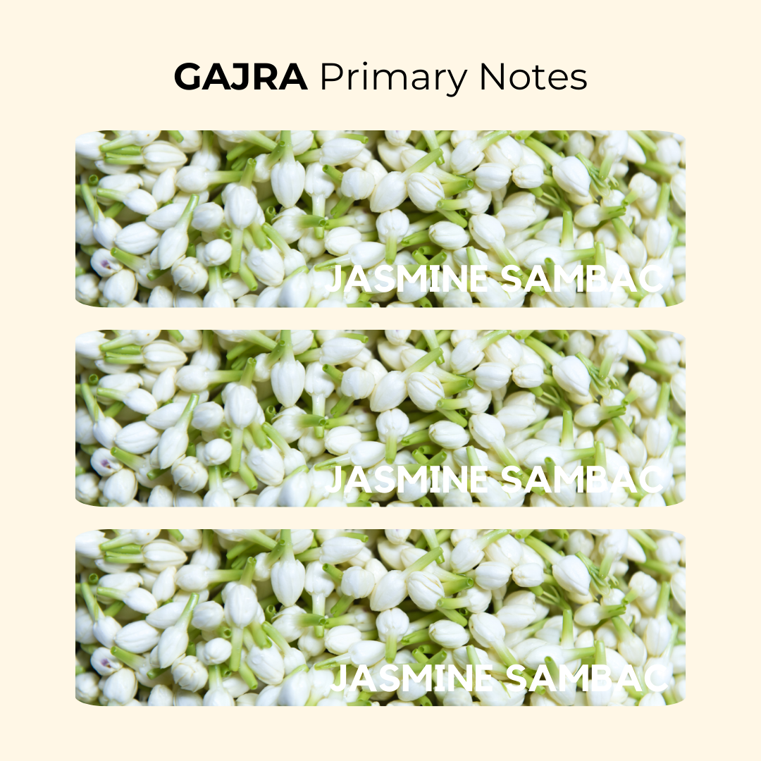 Gajra | Garland of Jasmine Flowers | EDP 50ml