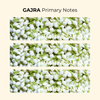 Gajra | Garland of Jasmine Flowers | EDP 50ml
