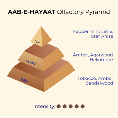 Aab-e-Hayaat | Oudh, Amber, Mint | EDP 50ml