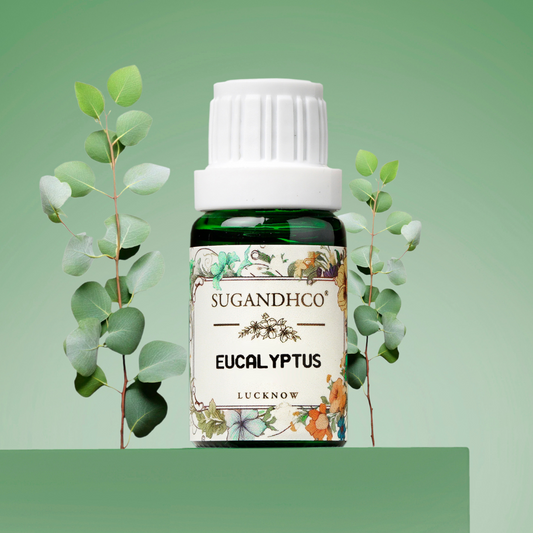 Eucalyptus Oil 10ml
