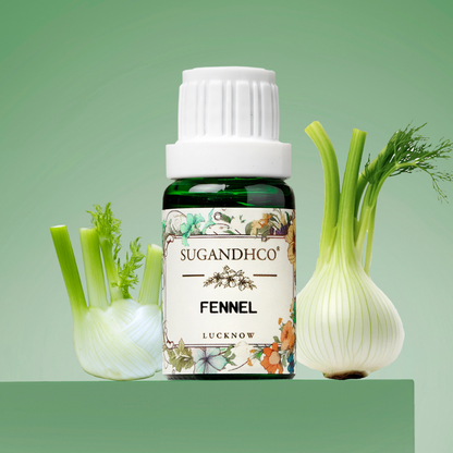 Fennel Oil 10ml