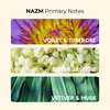 Nazm | Strong floral, Bitter Jasmine, Tuberose | Attar 10ml