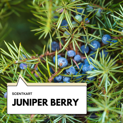 Juniper Berry Oil 10ml