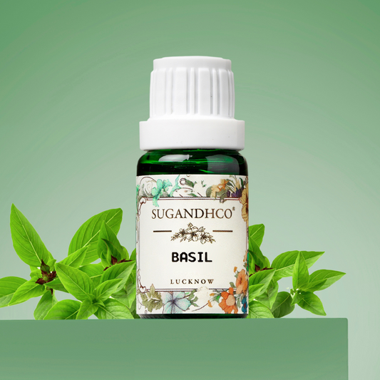 Basil Oil 10ml