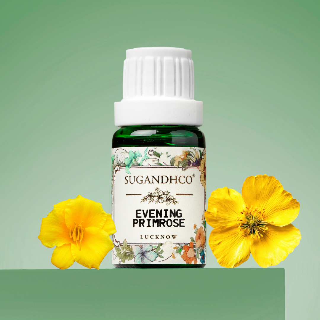 Evening Primrose Oil 10ml