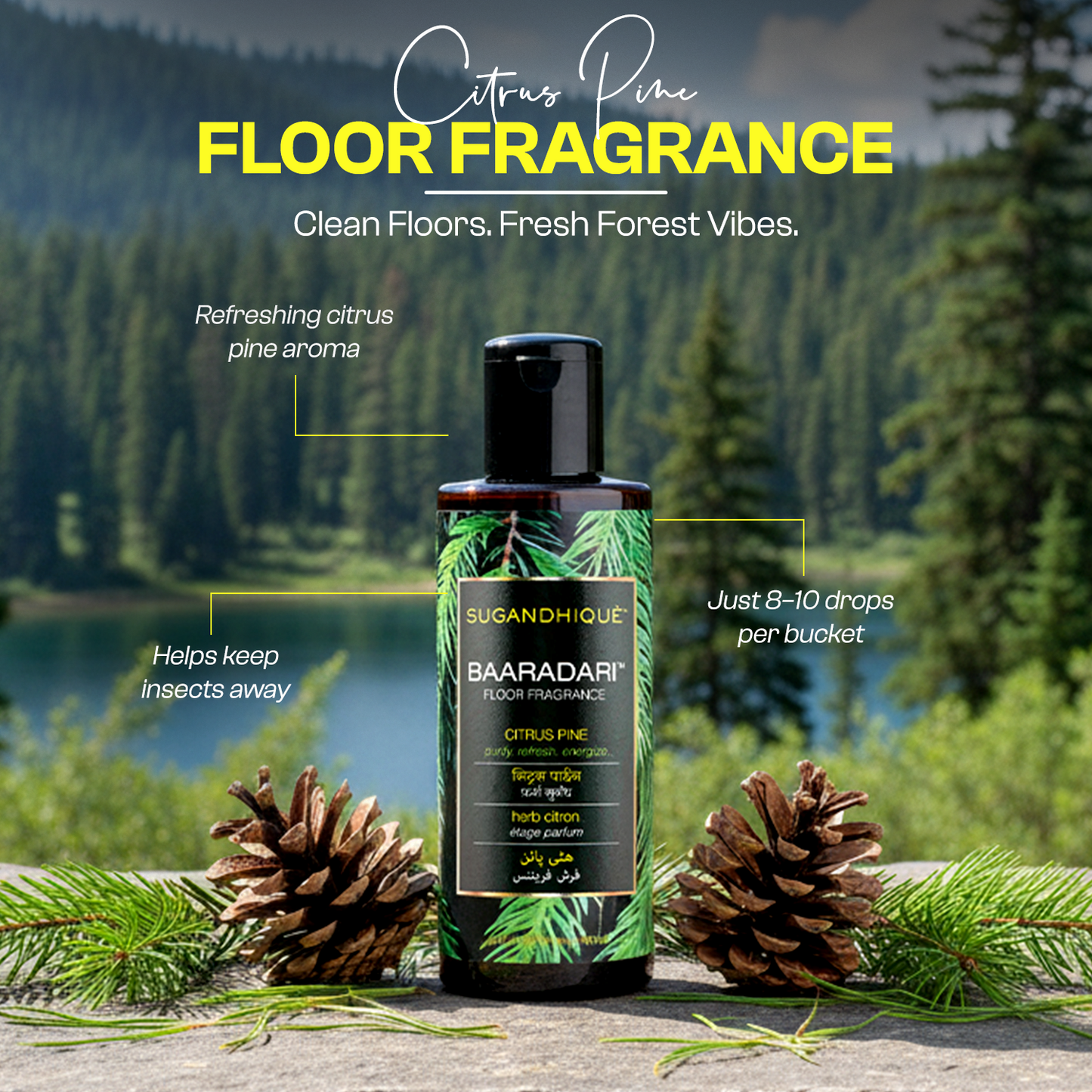 Baaradari Citrus Pine Floor Fragrance 200ml