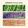 Armaan | Fresh, Aqua, Spicy | Perfume 50ml