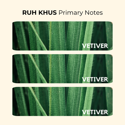 Ruh Khus | North Indian Vetiver, Earthy, Cool | Attar 10ml