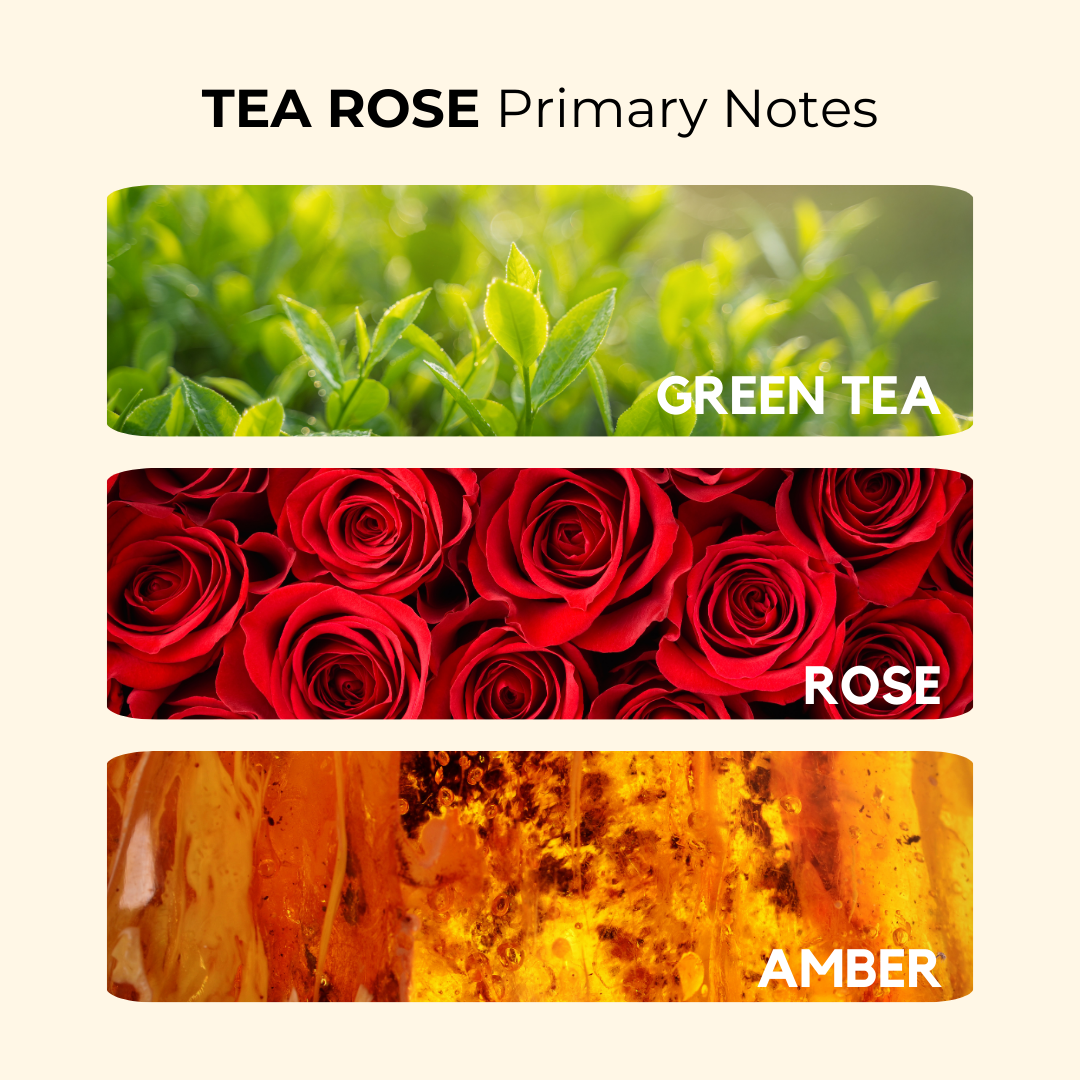 Tea Rose | Green Tea, Rose, Amber | Attar 10ml