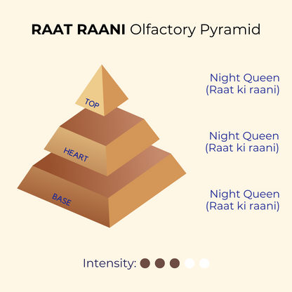 Raat Raani Attar 10ml