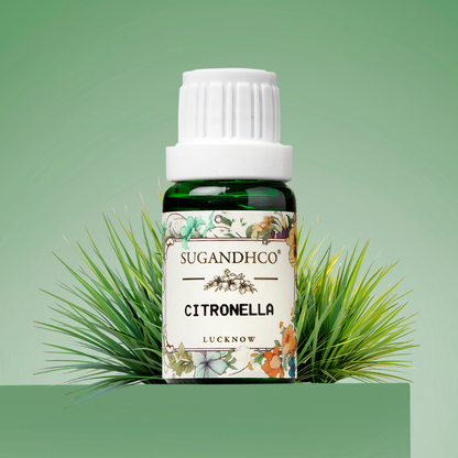 Citronella Oil 10ml