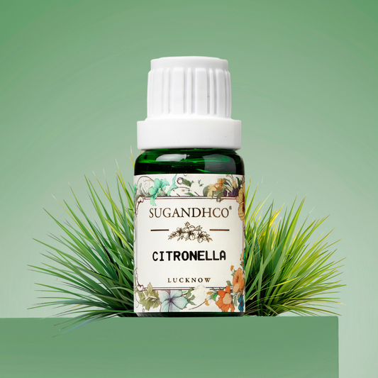 Citronella Oil 10ml