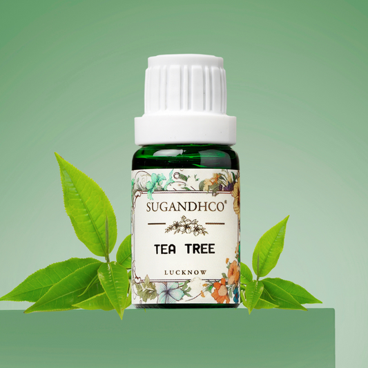Tea Tree Oil 10ml