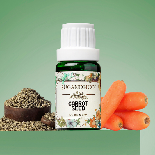 Carrot Seed Oil 10ml