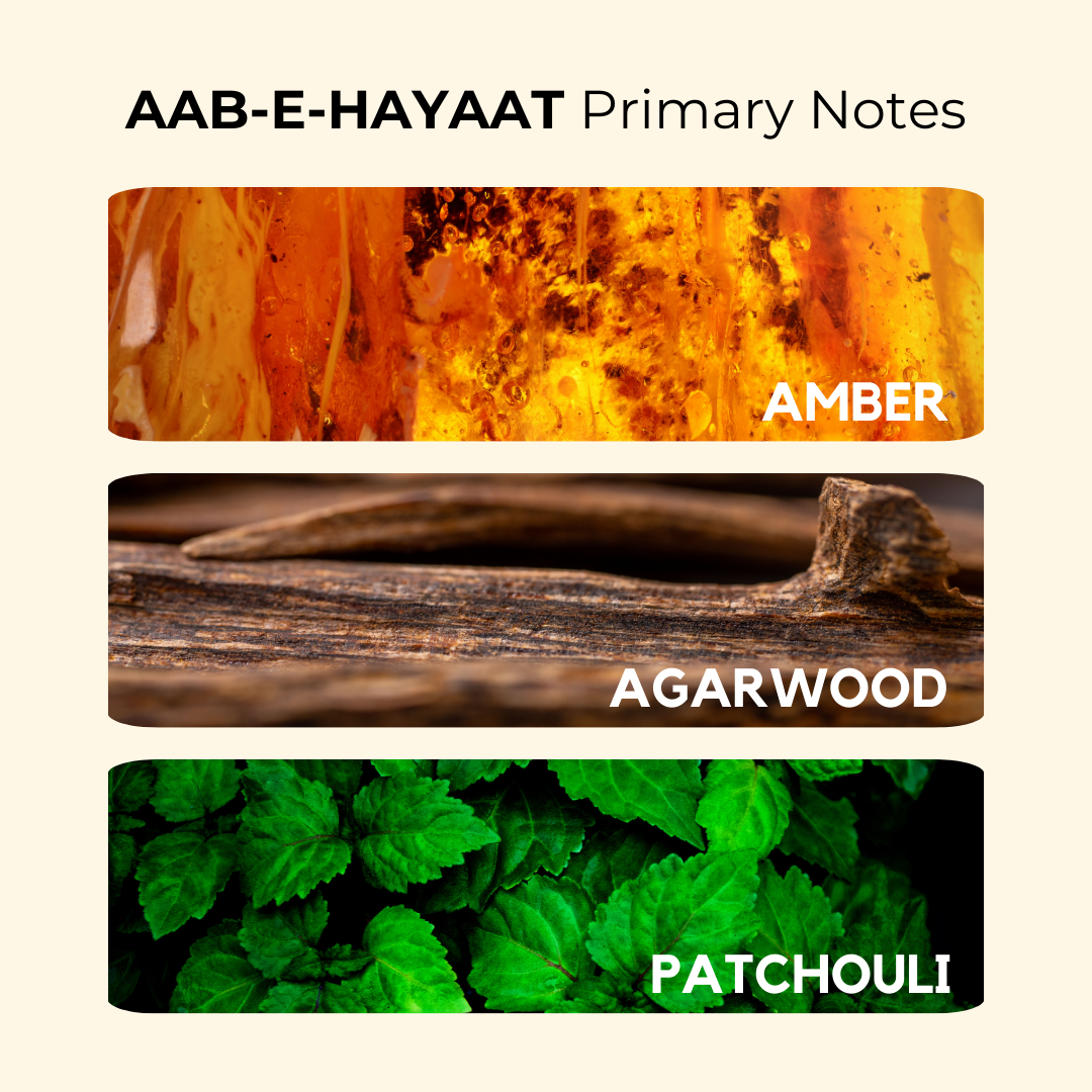 Aab-e-Hayaat | Oudh, Amber, Musk | EDP 50ml