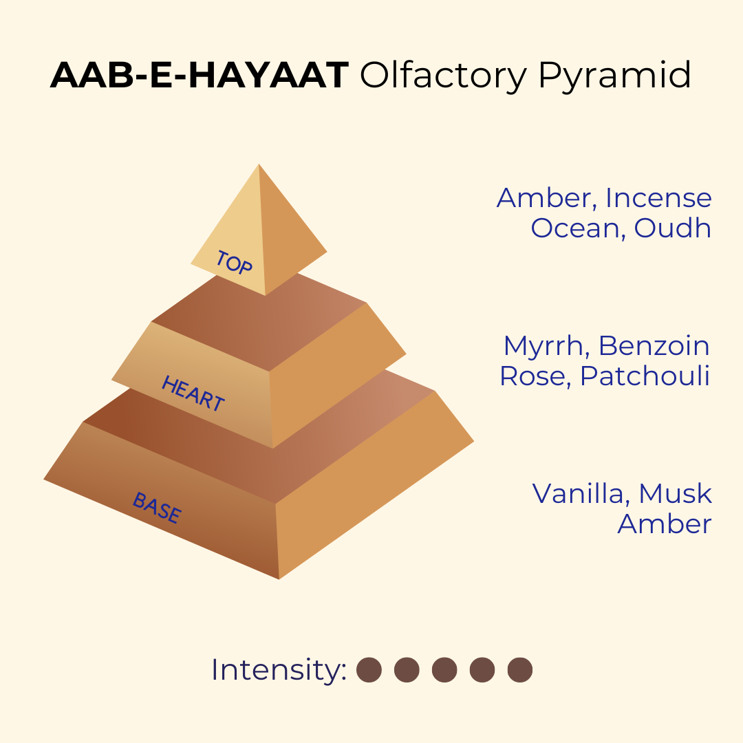 Aab-e-Hayaat | Oudh, Amber, Musk | EDP 50ml