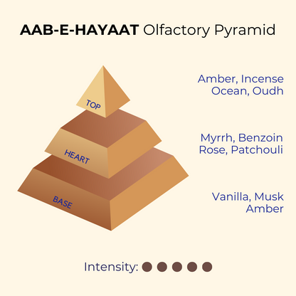 Aab-e-Hayaat | Oudh, Amber, Musk | EDP 50ml