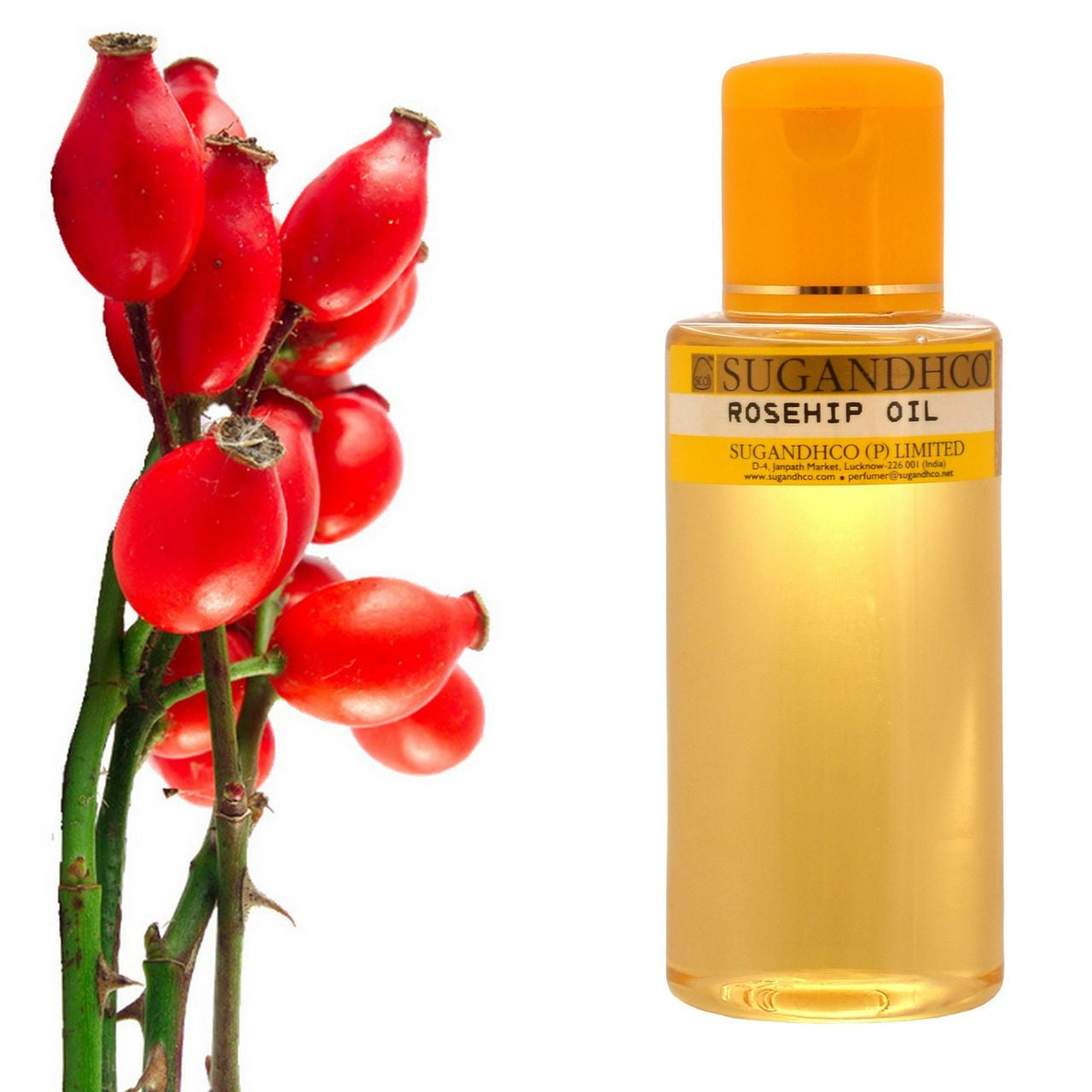 Rosehip Oil