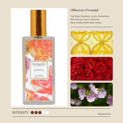 Review parfum discount miniso peony bamboo