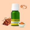Cinnamon Oil 10ml